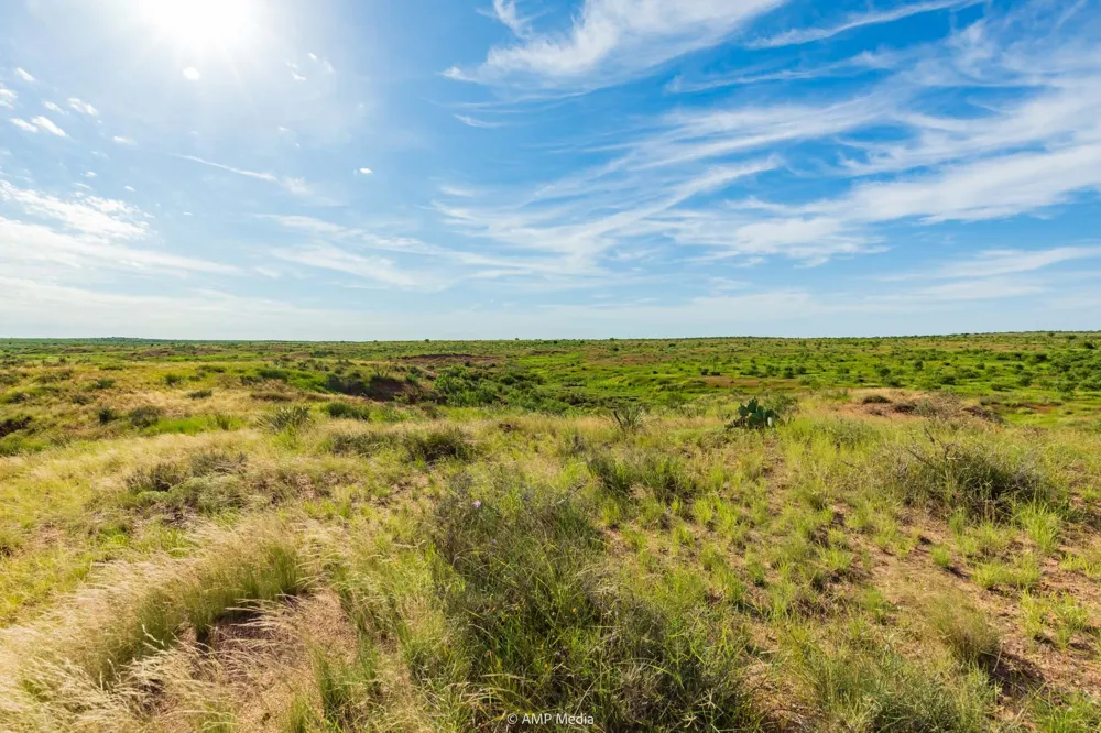 FM 610 Rotan, TX 79546