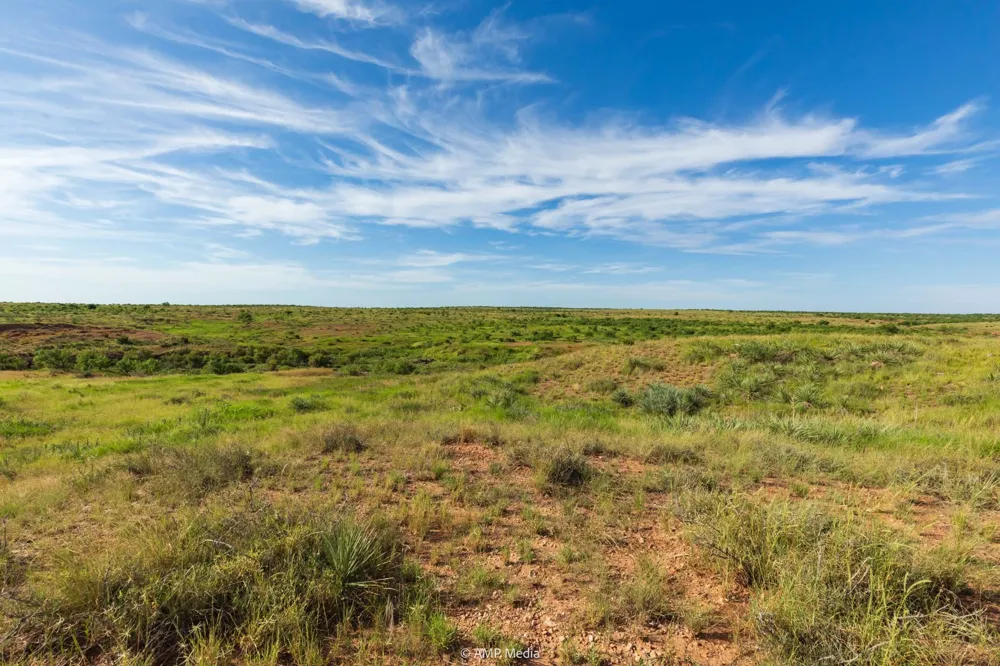 FM 610 Rotan, TX 79546