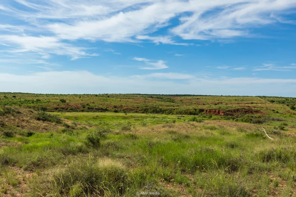 FM 610 Rotan, TX 79546
