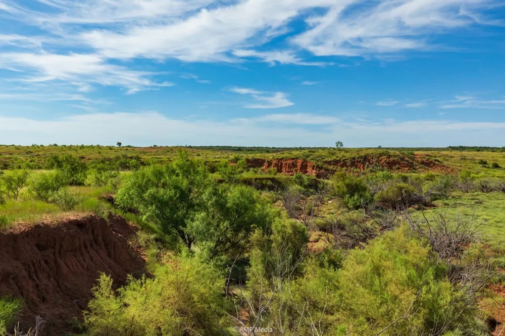 FM 610 Rotan, TX 79546