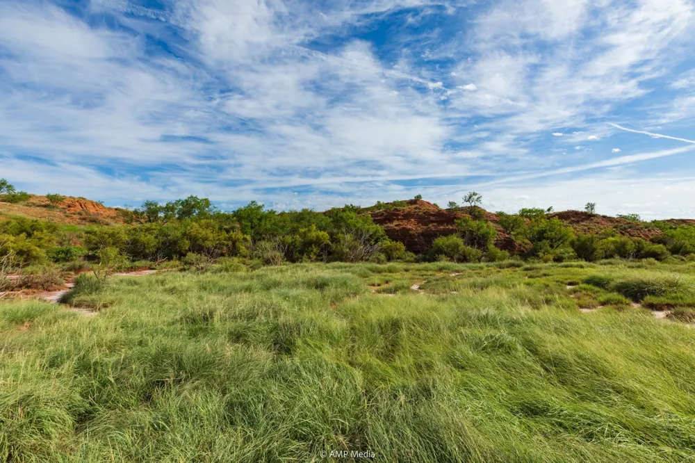 FM 610 Rotan, TX 79546