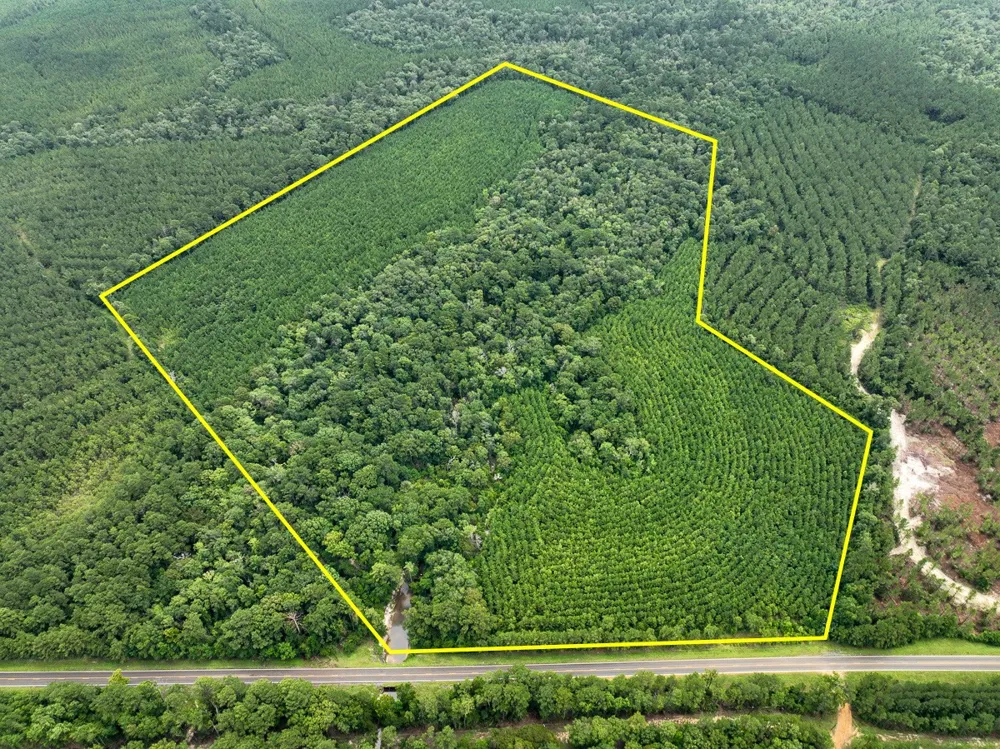 FM 2939 Newton, TX 75966