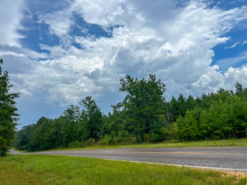 FM 2939 Newton, TX 75966