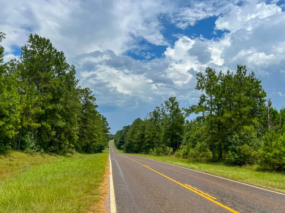FM 2939 Newton, TX 75966