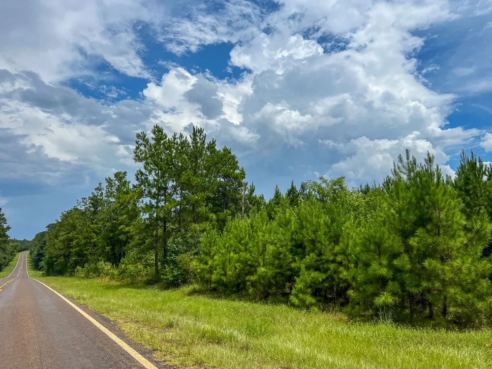 FM 2939 Newton, TX 75966