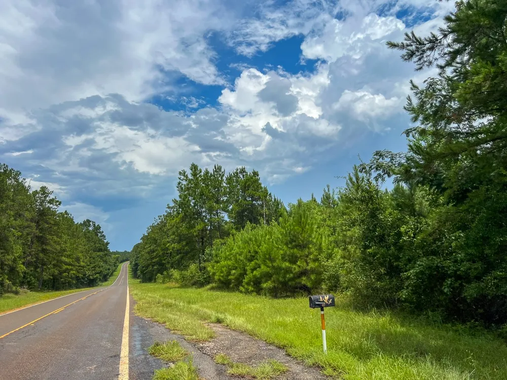 FM 2939 Newton, TX 75966