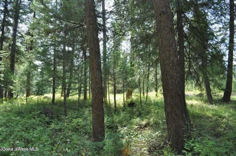 39 Forest Ridge Road