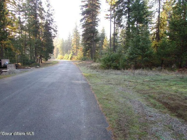 39 Forest Ridge Road Blanchard, ID 83804