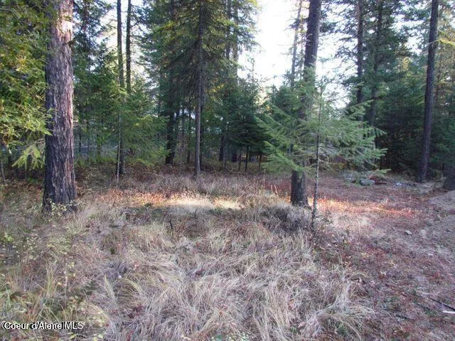 39 Forest Ridge Road Blanchard, ID 83804
