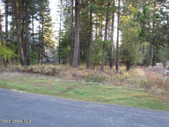 39 Forest Ridge Road Blanchard, ID 83804