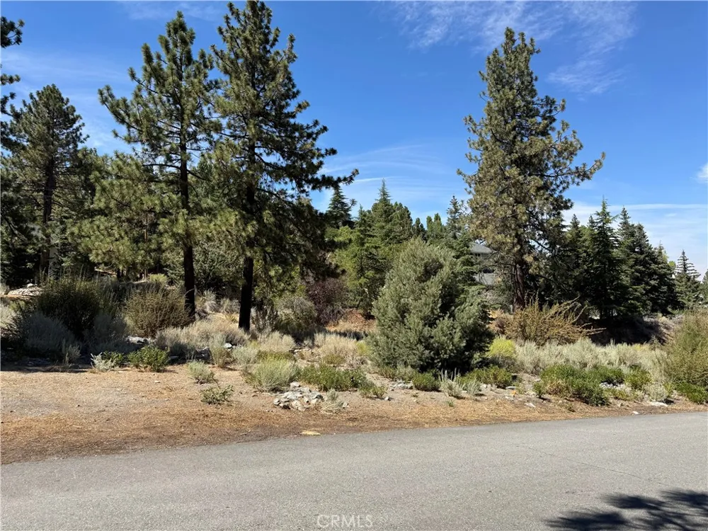 Zermatt Drive Wrightwood, CA 92397