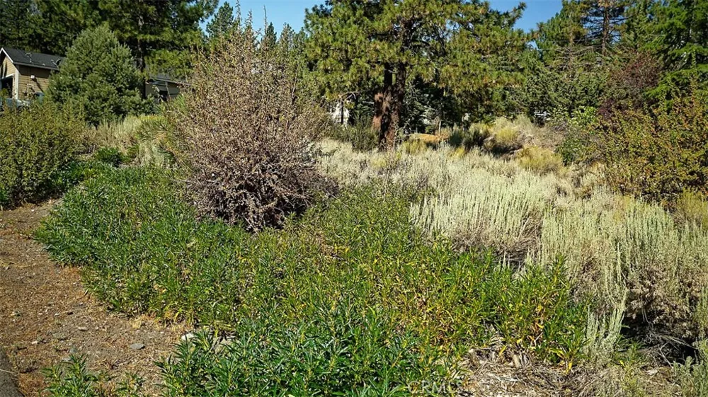 Zermatt Drive Wrightwood, CA 92397