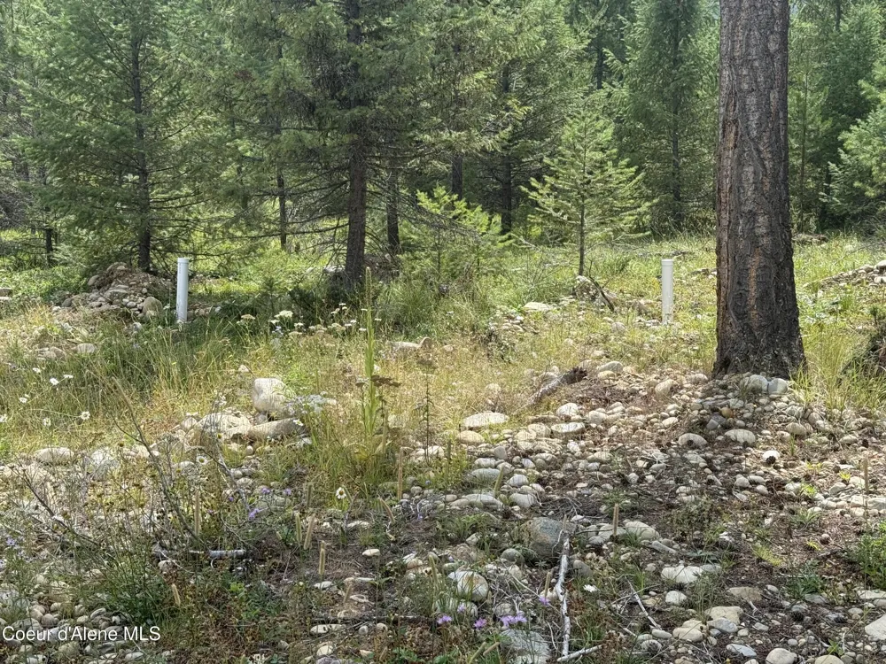 247 Old Addie Road Bonners Ferry, ID 83805