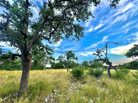 11 Cattleman's CROSSING Drive