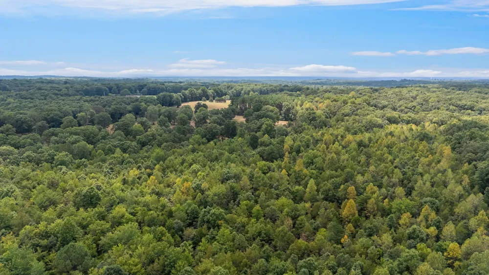 2820 Skyview Drive Centerville, TN 37033