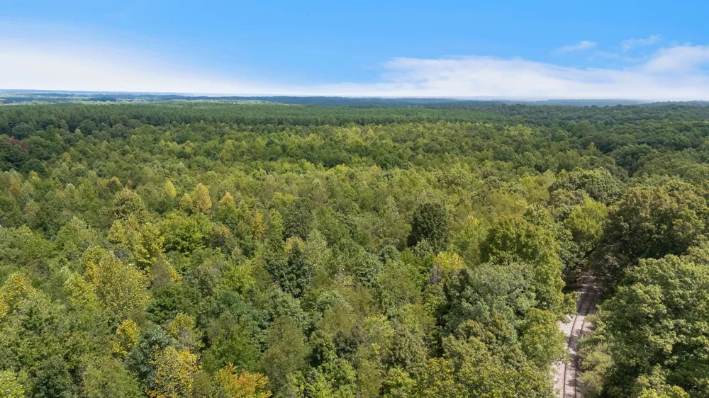 2820 Skyview Drive Centerville, TN 37033