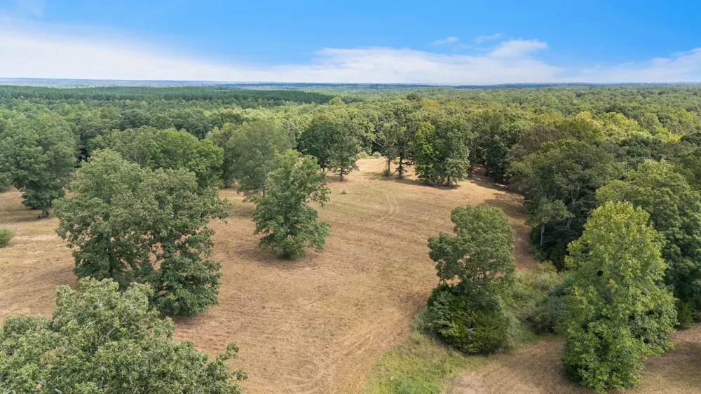 2820 Skyview Drive Centerville, TN 37033