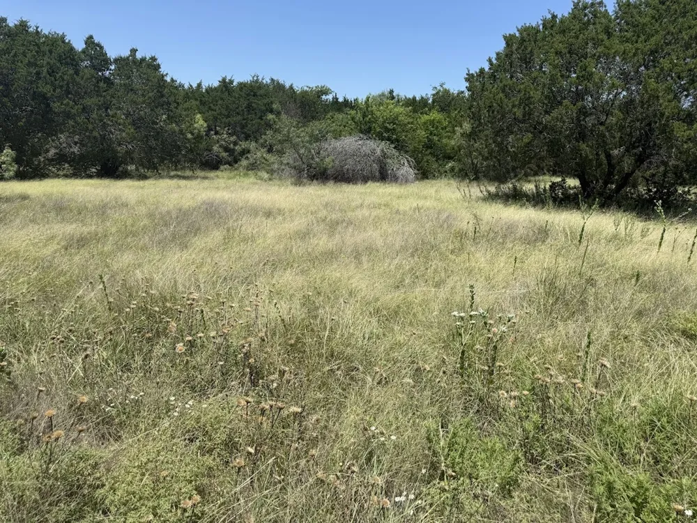 Private Road 16020 Jonesboro, TX 76538