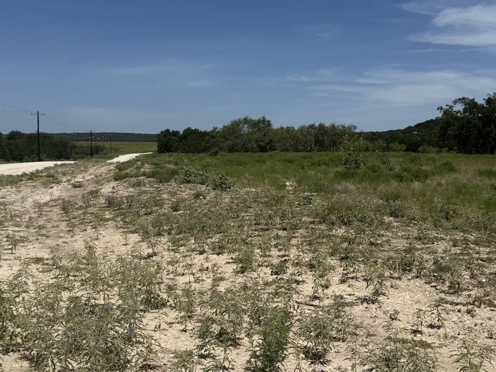 Private Road 16020 Jonesboro, TX 76538