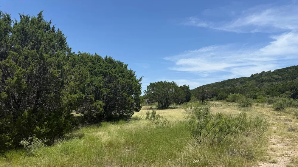 Private Road 16020 Jonesboro, TX 76538