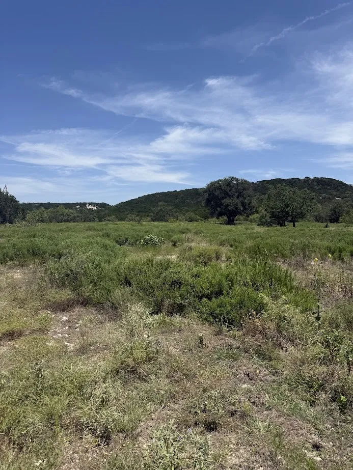 Private Road 16020 Jonesboro, TX 76538