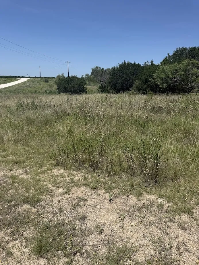 Private Road 16020 Jonesboro, TX 76538
