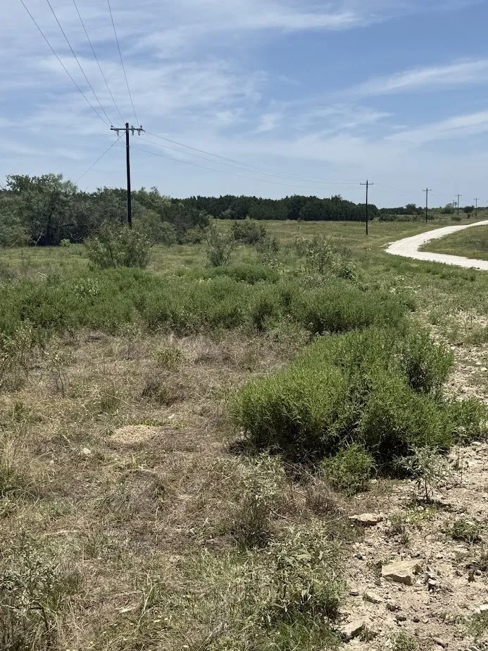 Private Road 16020 Jonesboro, TX 76538