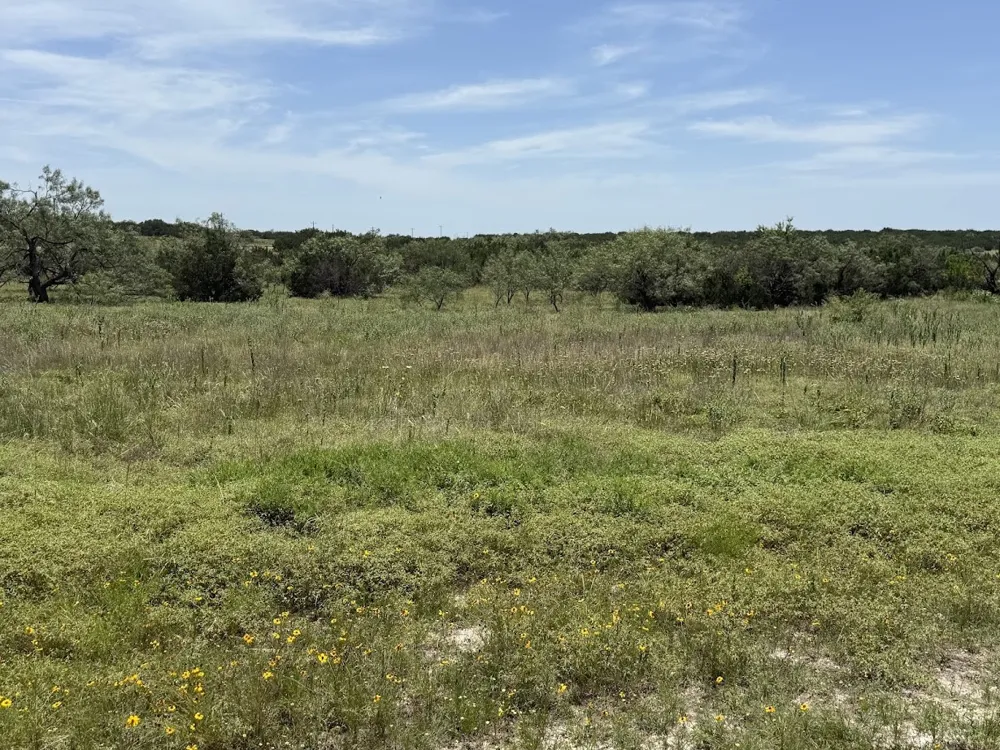 Private Road 16020 Jonesboro, TX 76538