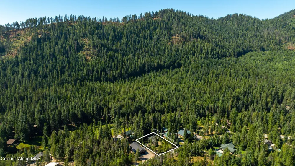 96 Tracy Lane Priest Lake, ID 83856