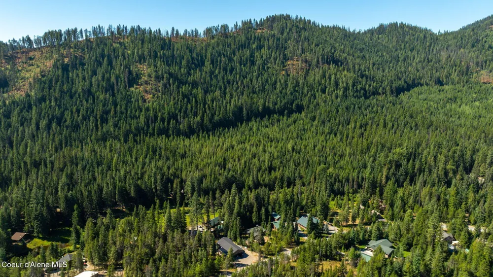 96 Tracy Lane Priest Lake, ID 83856