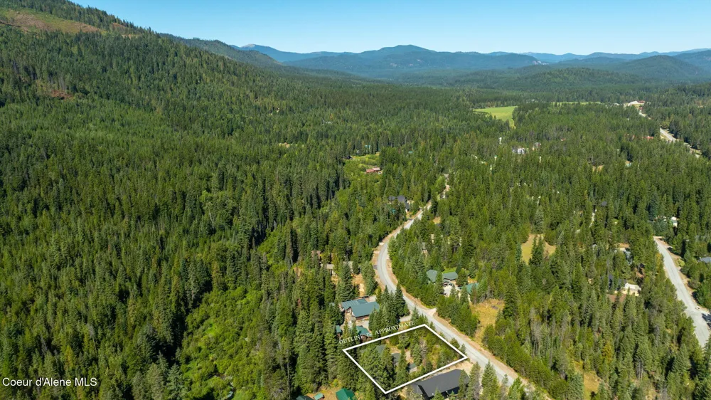 96 Tracy Lane Priest Lake, ID 83856