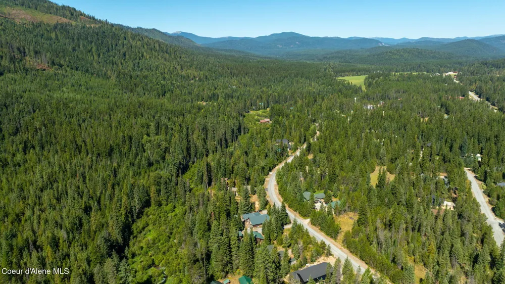 96 Tracy Lane Priest Lake, ID 83856