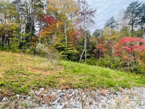 0 Enchanted Way #3