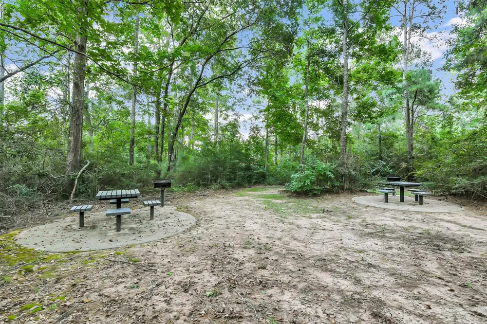 27987 Bridle Avenue Waller, TX 77484