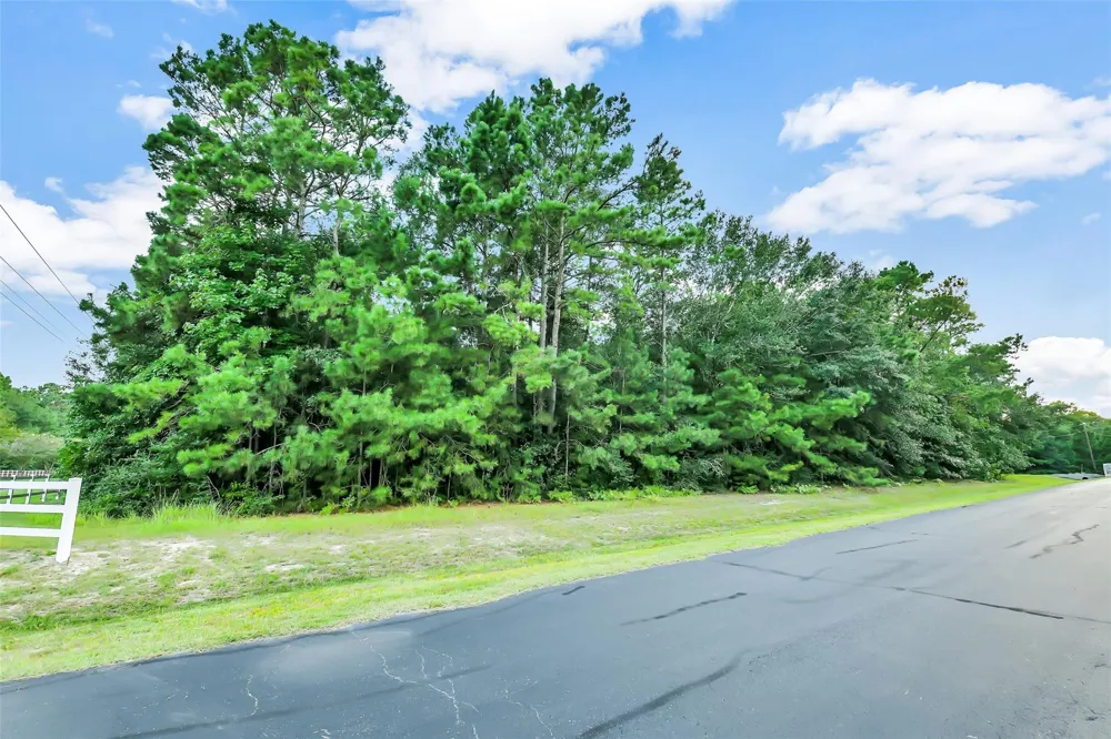 27987 Bridle Avenue Waller, TX 77484