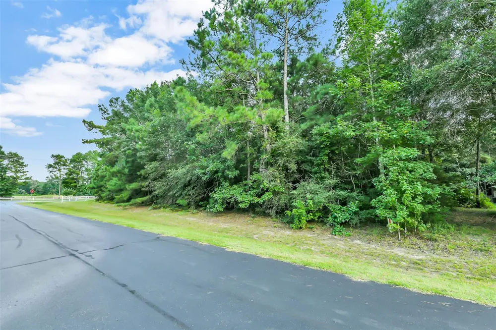 27987 Bridle Avenue Waller, TX 77484