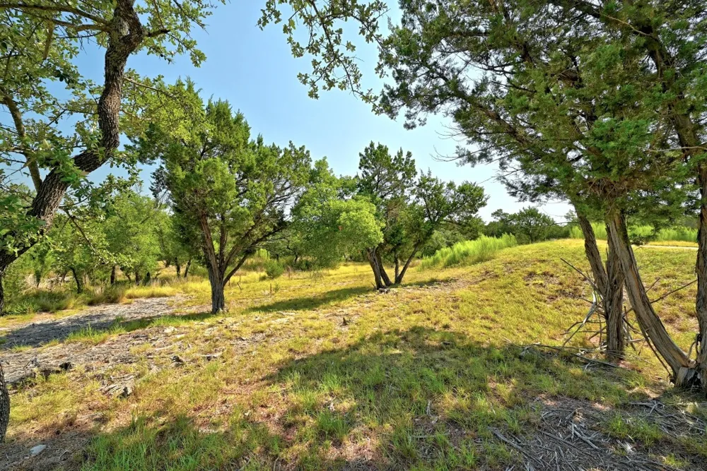 235 Campolina Lane Driftwood, TX 78619
