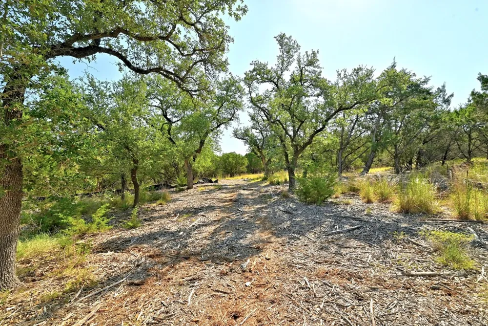 170 Night Wrangler Lane Driftwood, TX 78619
