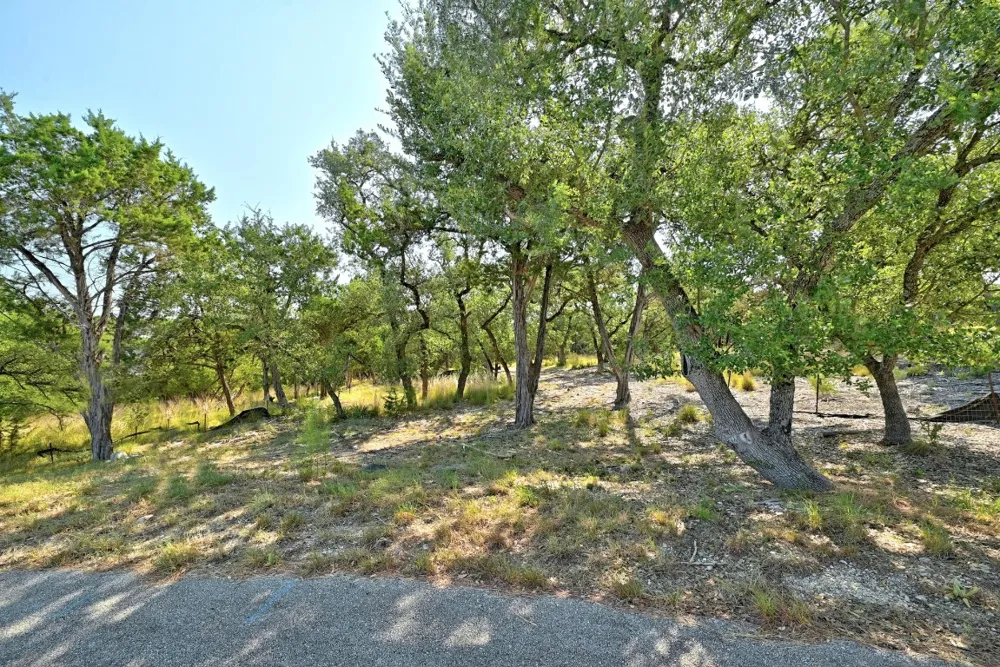 170 Night Wrangler Lane Driftwood, TX 78619