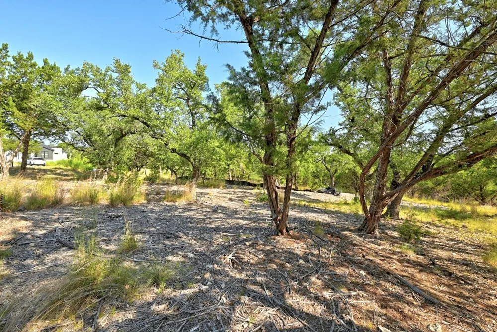 170 Night Wrangler Lane Driftwood, TX 78619