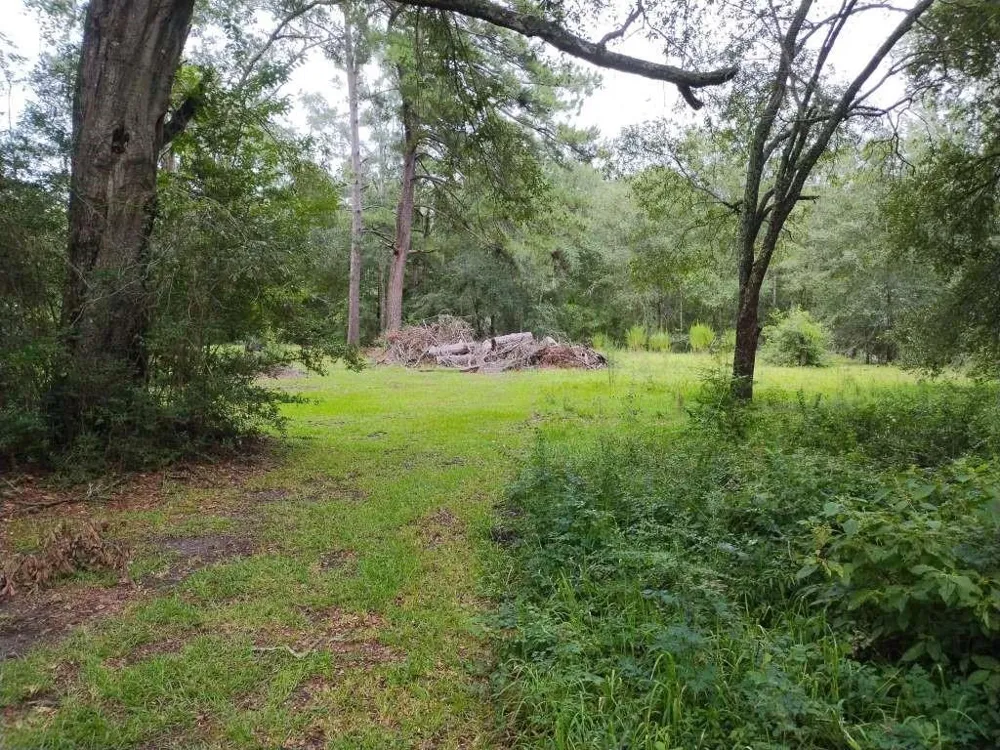 1806 S Elizabeth Avenue Kirbyville, TX 75956