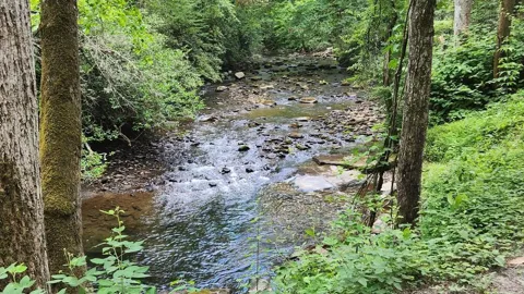 38 AC Tumbling Creek Road