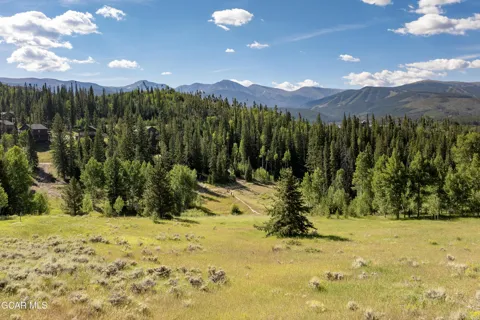 1996 Pioneer Trail