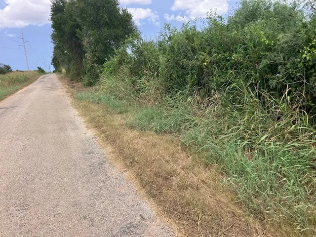 Gander Slough Road Kingsbury, TX 78638
