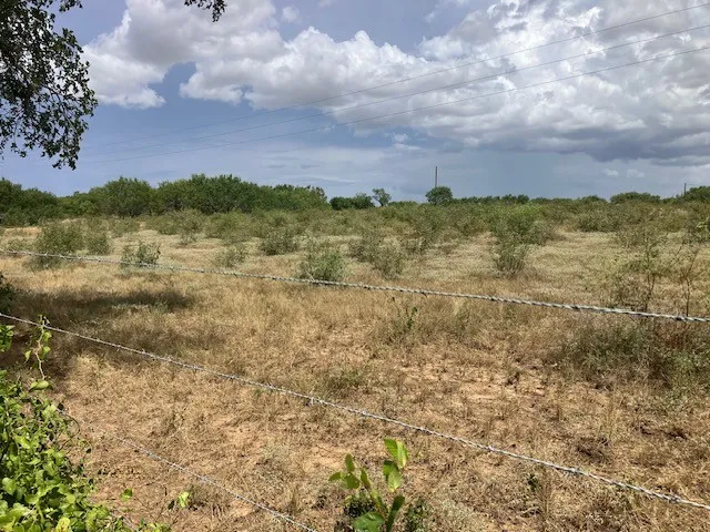 Gander Slough Road Kingsbury, TX 78638