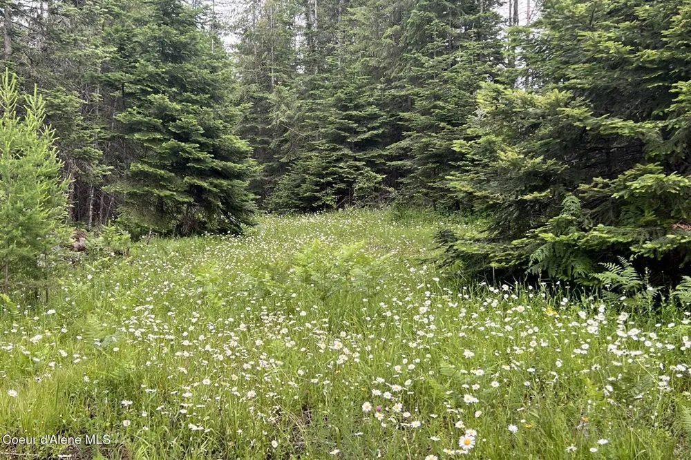 Lot11 Blk1 Leonard Loop Athol, ID 83801
