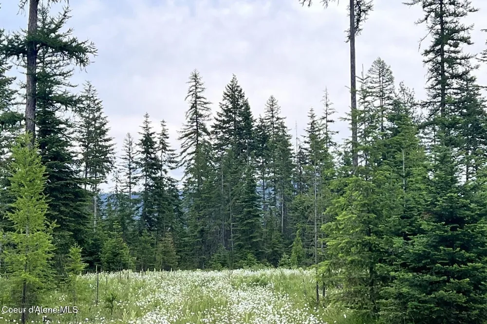 Lot11 Blk1 Leonard Loop Athol, ID 83801