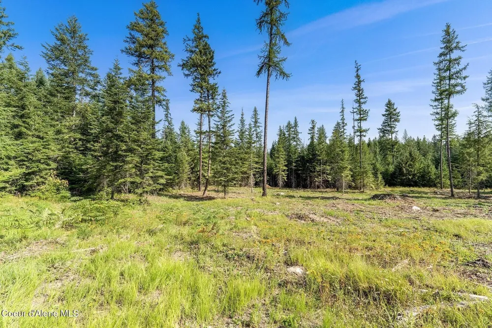Lot11 Blk1 Leonard Loop Athol, ID 83801