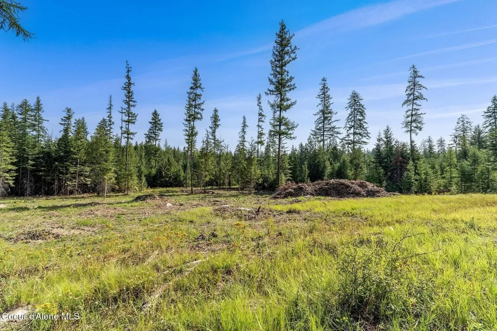 Lot11 Blk1 Leonard Loop Athol, ID 83801