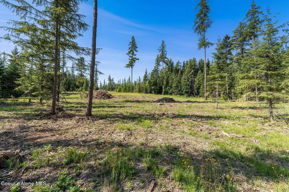 Lot11 Blk1 Leonard Loop Athol, ID 83801
